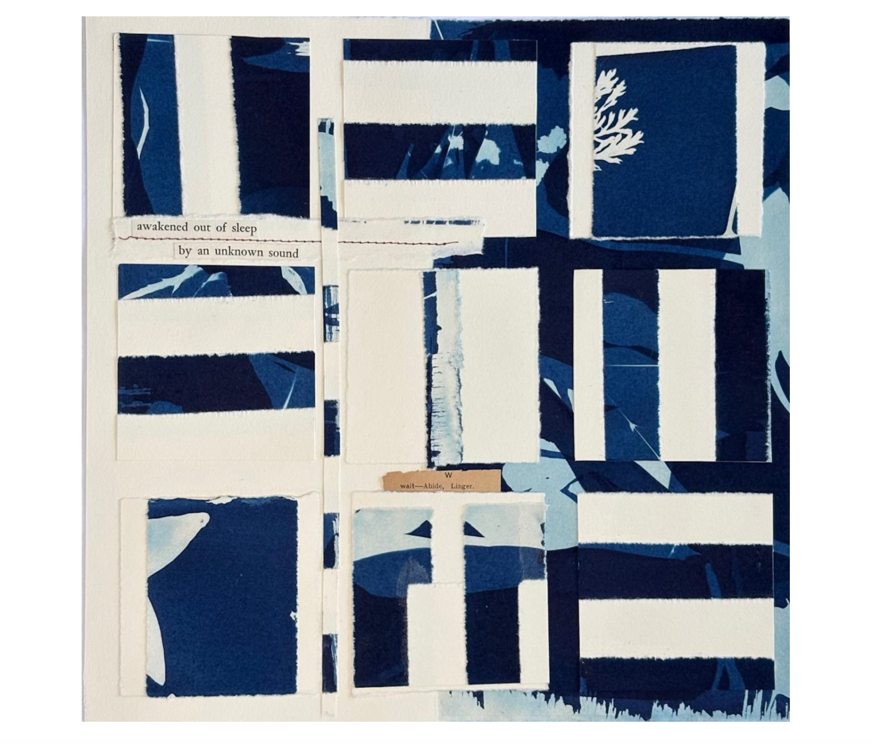 Rhythmic Exercises: nocturnal movement in cyanotype squares